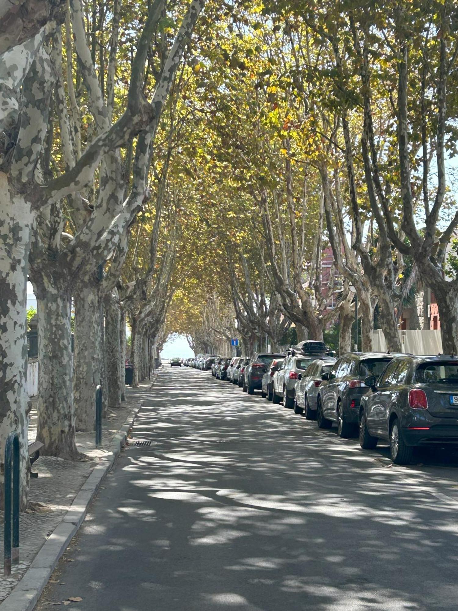 Mar Verde - Parede-Cascais Екстериор снимка